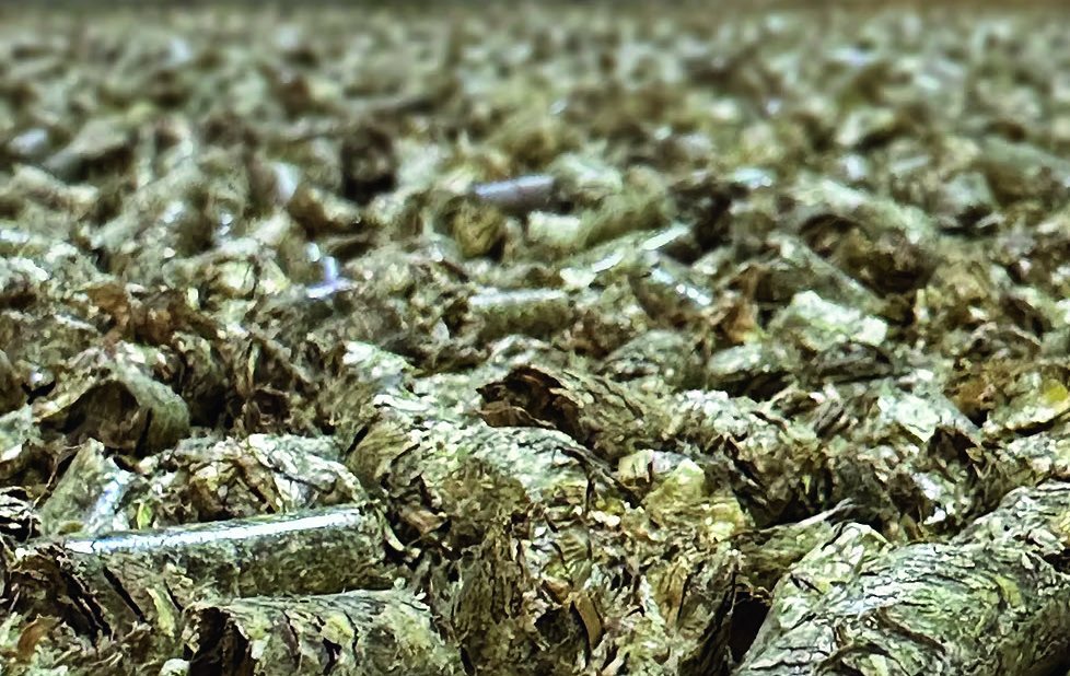 Strohpellets als Einstreu im Stall